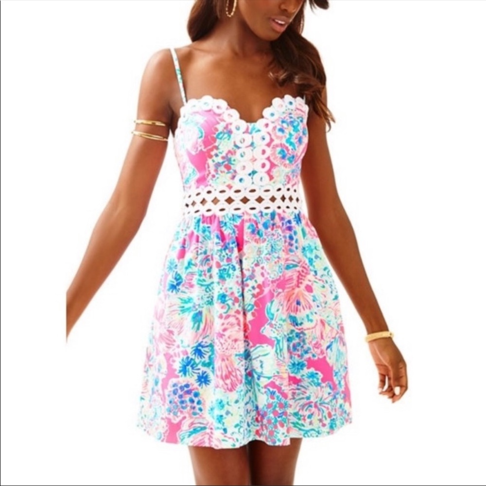 Lilly Pulitzer rika fit and flare dress